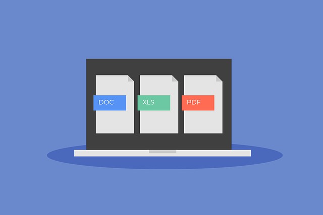 Which PDF Tools Should South Africans Use?