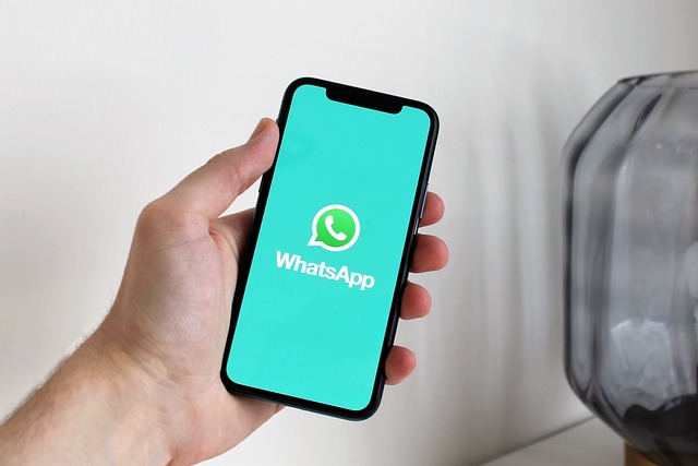 How Much Data Does a WhatsApp Call Use?